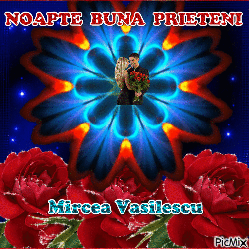 Mircea Vasilescu - Free animated GIF
