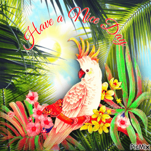 Have a Nice Day Tropical Bird - GIF animado grátis