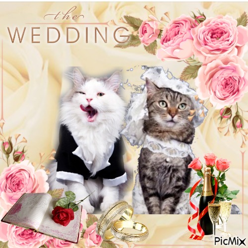 The Wedding - zdarma png