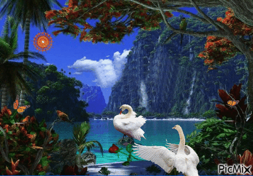 влюбленные лебеди - 無料のアニメーション GIF