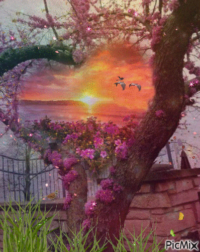 heart inside tree - GIF animate gratis