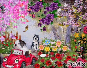 A DOG DRIVING A CAR. A DOG BARKING, FLOWERS, TREES, BUTTERFLIES, AND A BITD. - Gratis geanimeerde GIF