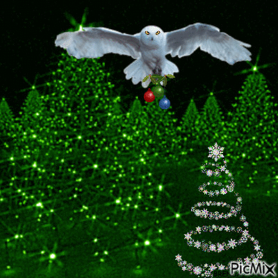 Christmas owl - Bezmaksas animēts GIF