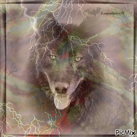The Wolf - Free animated GIF