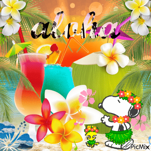 Aloha friends! - Free animated GIF