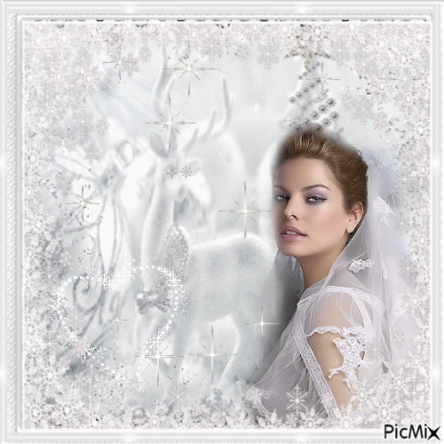 winter bride - Free animated GIF