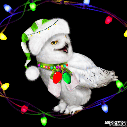 Christmas owl - Ilmainen animoitu GIF