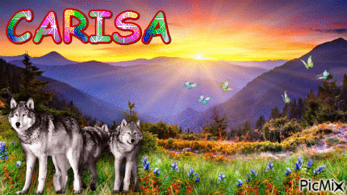 Carisa - Безплатен анимиран GIF