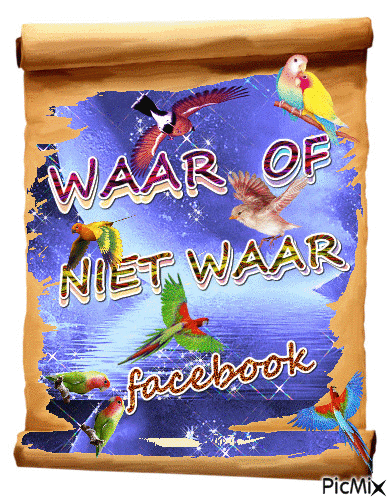 WAAR OF NIET WAAR - 無料のアニメーション GIF