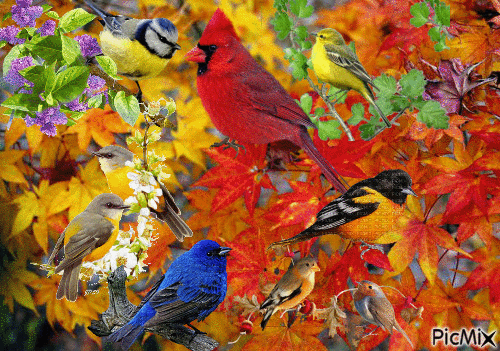 AUTUMN BIRDS - Безплатен анимиран GIF