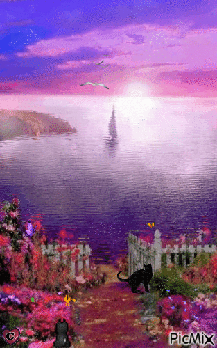 Summer Place - Free animated GIF