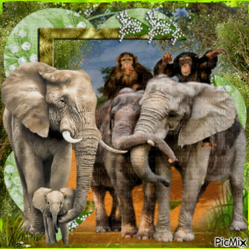 La famille éléphant - Ilmainen animoitu GIF