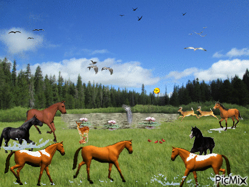 galloping valley - GIF animasi gratis