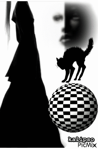 Black and white.. - GIF animé gratuit