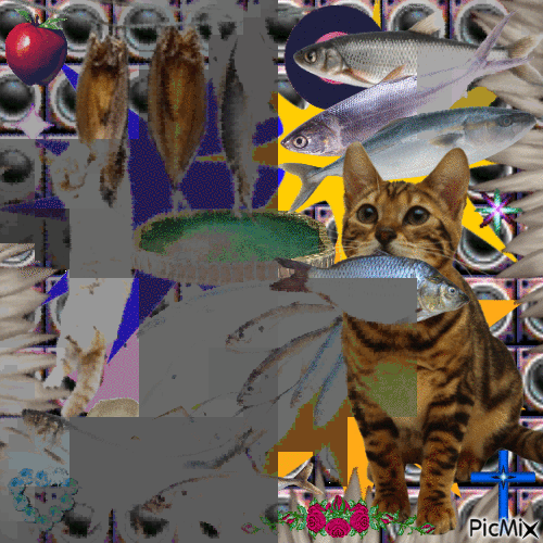 cats and fish and etc - Gratis animerad GIF