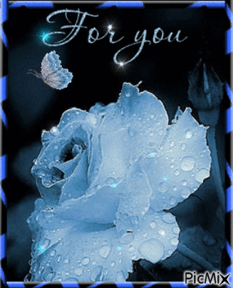 A rose for you. - Gratis geanimeerde GIF