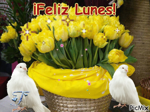 ¡Feliz Lunes! - Безплатен анимиран GIF