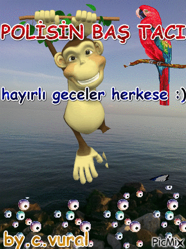 POLİSİN BAŞTACI - GIF animado gratis