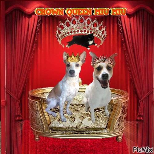 crown queen miu miu - png gratuito