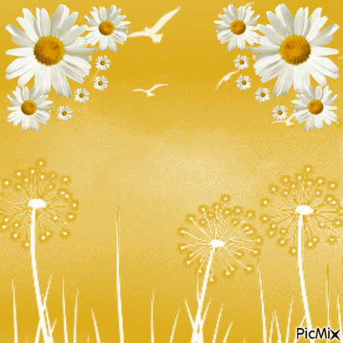 MA / BG.anim.flowers.yellow.marguerites.idca - Бесплатный анимированный гифка