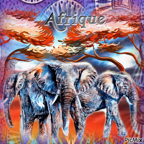 Concours  / les éléphants - 無料のアニメーション GIF