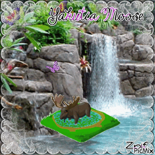 Yakutia Moose - Free animated GIF