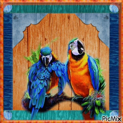 tableau couleur perroquet - GIF animé gratuit