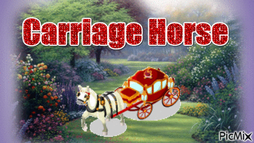 Carriage Horse - GIF animado grátis