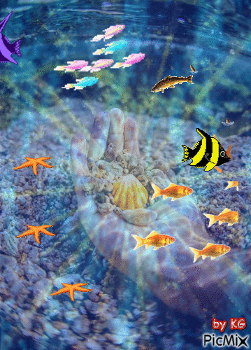 fish - Nemokamas animacinis gif
