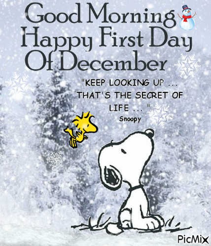 Good Morning. 1st Day of December - бесплатно png