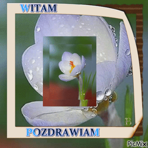 witam - Gratis animerad GIF