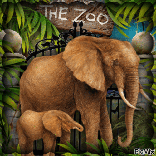 Zoo-RM-06-17-23 - Ücretsiz animasyonlu GIF