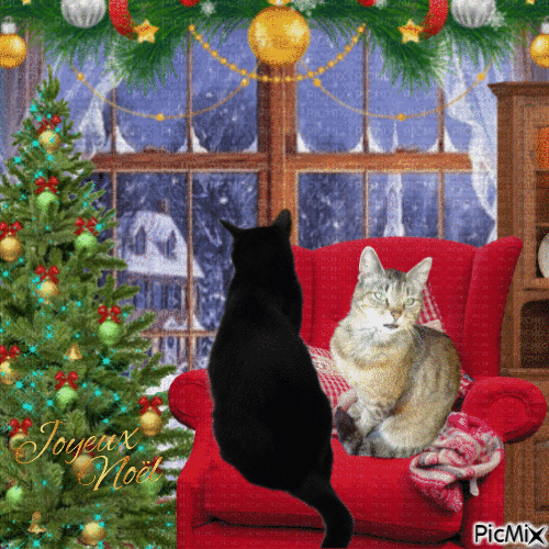 Votre propre animal de compagnie, à la fenêtre, à Noël. - Darmowy animowany GIF