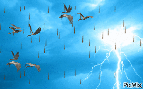 Storm - Бесплатный анимированный гифка