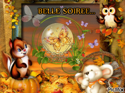 BELLE SOIREE - Free animated GIF
