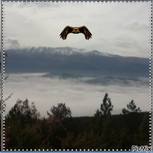 Un tappeto di nuvole - Darmowy animowany GIF