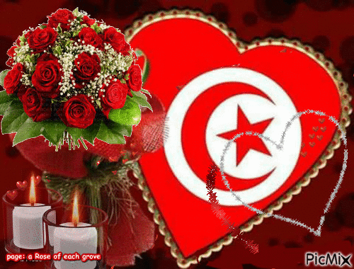 tunisie - 無料のアニメーション GIF