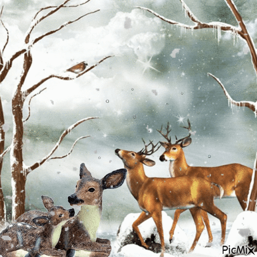ciervos en la nieve - Бесплатный анимированный гифка