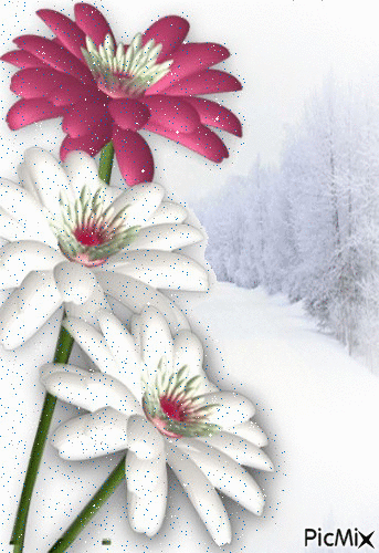 iarna - Ingyenes animált GIF