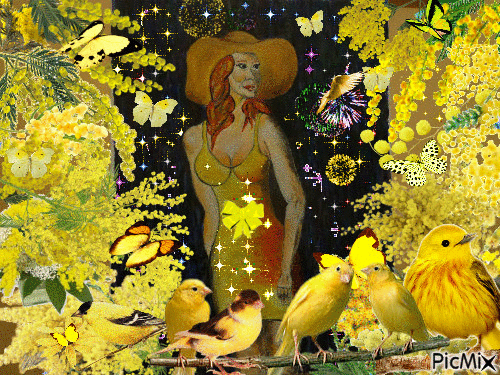 La femme au chapeau peint par Gino Gibilaro avec mimosas,papillons,oiseaux,feux artifices et étoiles - GIF animado grátis