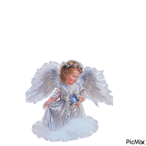 angelo - 免费动画 GIF