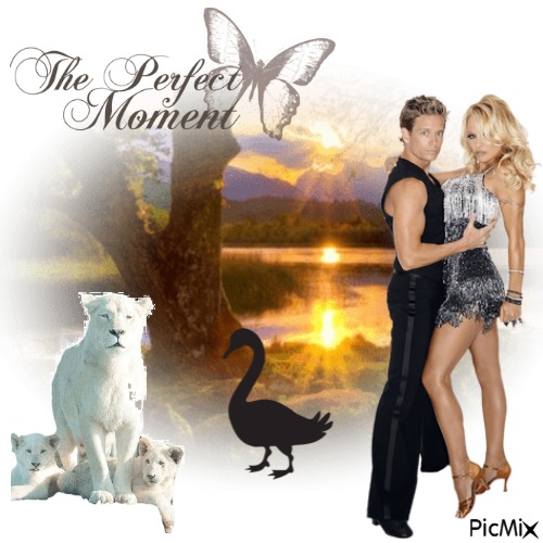 The Perfect Moment - png gratis