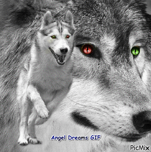 Wolf Eyes - Gratis geanimeerde GIF