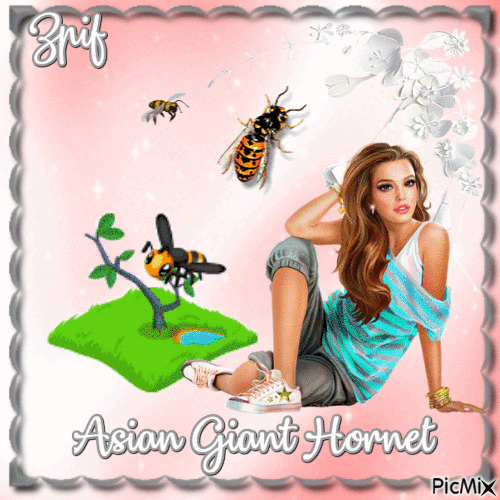 Asian giant hornet - Gratis animeret GIF