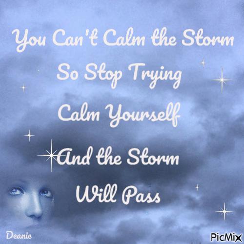 Saying Can't Calm the Storm - GIF animate gratis