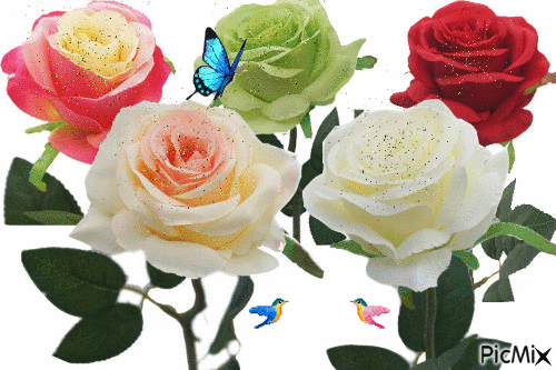 Rosas Lindas! - Ingyenes animált GIF