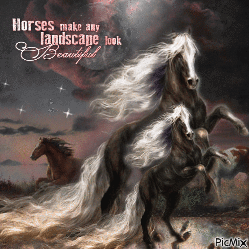 BEAUTIFUL HORSES - Darmowy animowany GIF