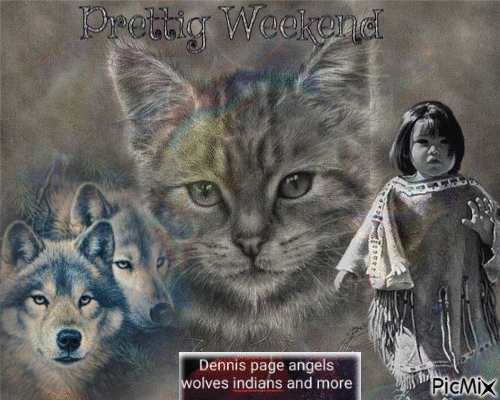WOLF CAT INDIAN GIRL - Бесплатный анимированный гифка