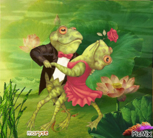 grenouille - GIF animado gratis