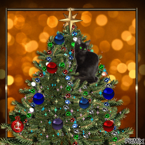 black cat 😻❣ - Gratis animeret GIF